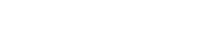 Vertiflo Industrial Pumps Logo